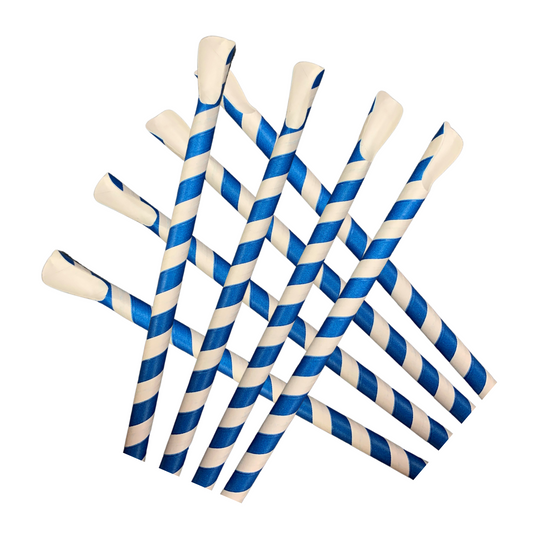 Eco-Friendly Spoon Straws | Sustainable Straws for Snow Cones and Slushies x 200